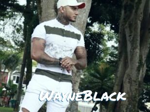 WayneBlack