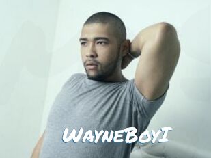 WayneBoyI