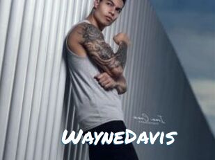 WayneDavis