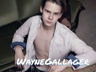 WayneGallager