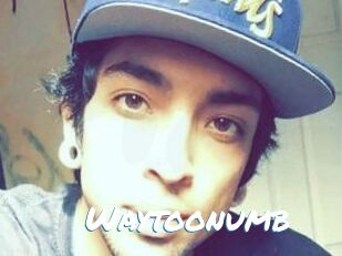 Waytoonumb