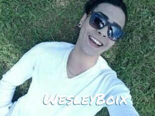 Wesley_Boix