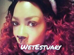 WetEstuary