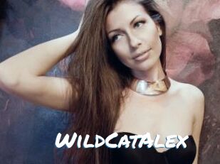 WildCatAlex