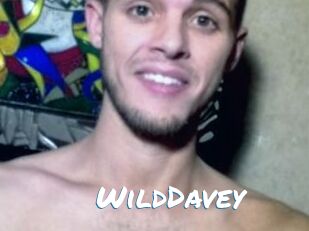 WildDavey