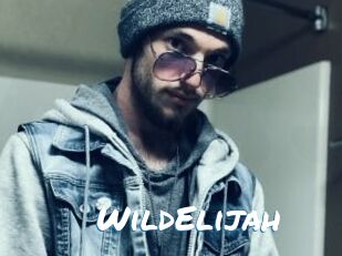 WildElijah