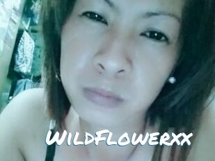 WildFlowerxx