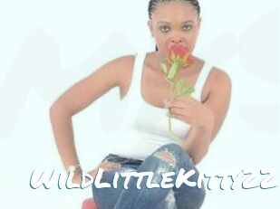 WildLittleKitty22