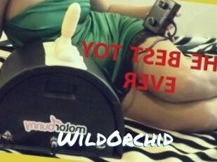 WildOrchid_
