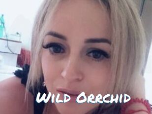 Wild_Orrchid