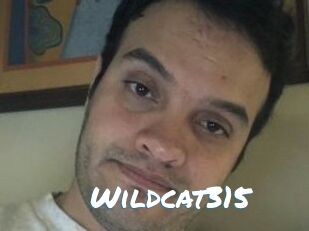 Wildcat315