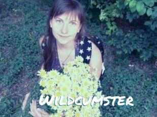 Wildcumster