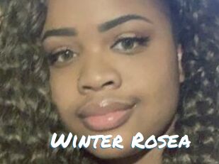 Winter_Rosea