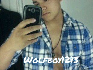 Wolfboy1213
