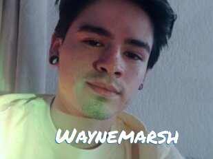 Waynemarsh