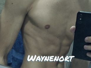 Waynenort
