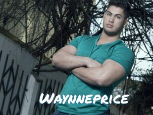 Waynneprice