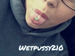 Wetpussy210