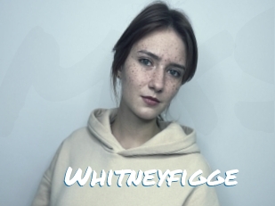 Whitneyfigge