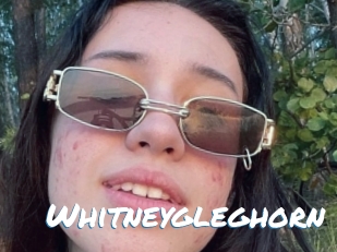 Whitneygleghorn