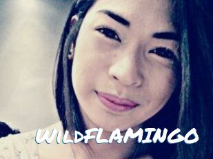 WildFLAMINGO