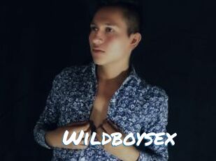 Wildboysex