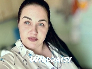 Wilddaisy