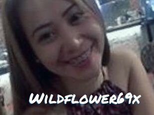 Wildflower69x
