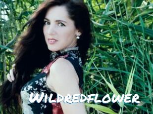 Wildredflower