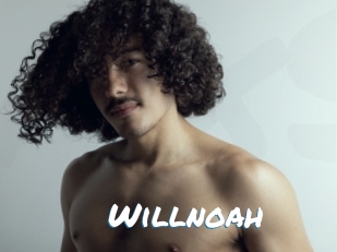 willnoah Max 50
