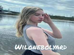 Wilonebolyard
