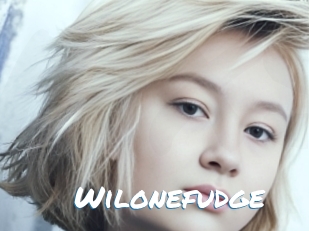 Wilonefudge
