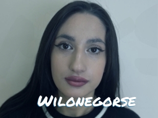 Wilonegorse
