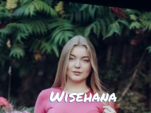 wisehana Max 50