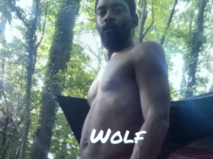 Wolf