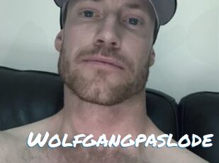 Wolfgangpaslode