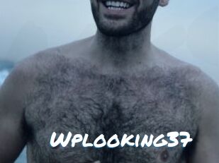Wplooking37