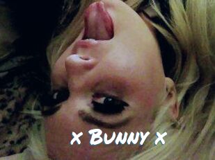 _x_Bunny_x_
