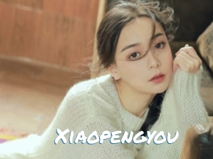 Xiaopengyou
