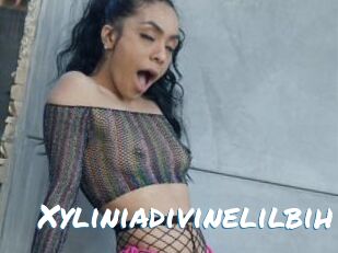 Xyliniadivinelilbih