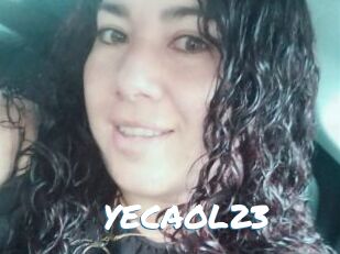YECAOL23