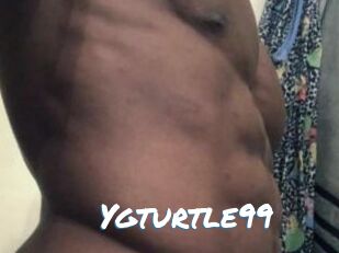 Ygturtle99