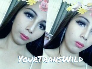 YourTransWild