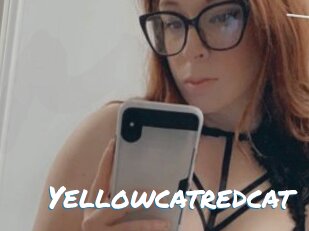Yellowcatredcat
