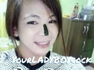 YourLADYBOYcock