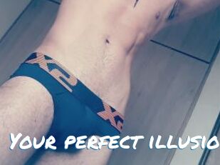 Your_perfect_illusion