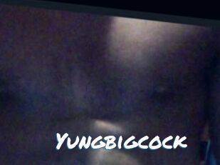 Yungbigcock