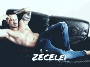 ZECElei