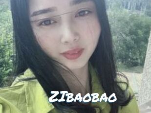 ZIbaobao