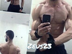 Zeus23